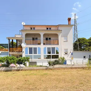 Dino 1355 Pola